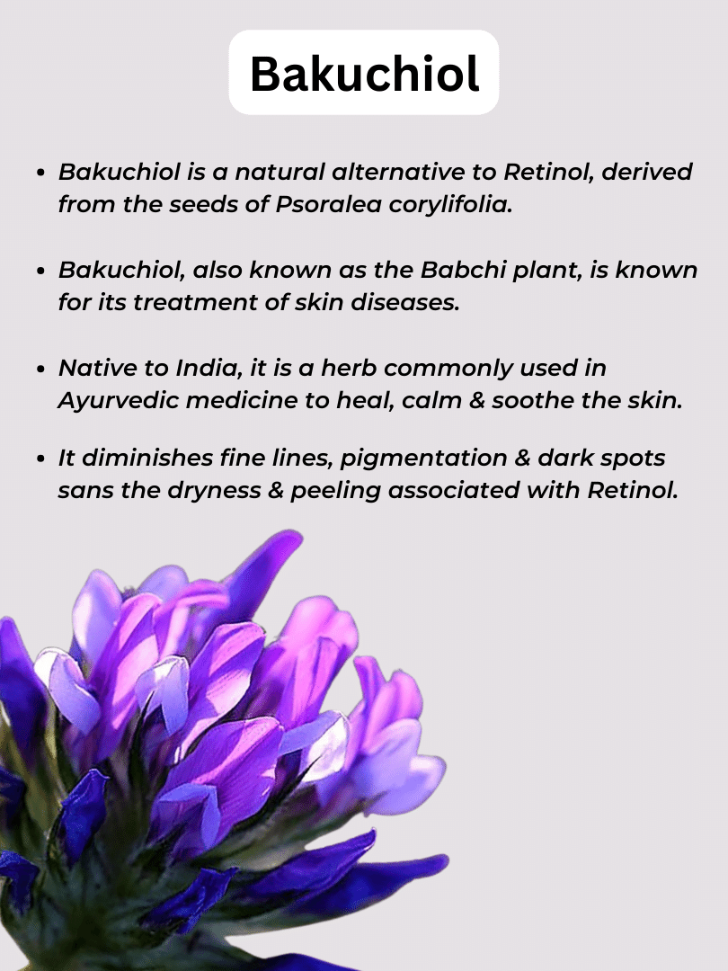 Bakuchiol Bio-Retinol Face Serum